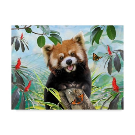 Howard Robinson 'Red Panda' Canvas Art,14x19